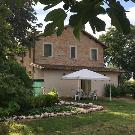 Apartamento Fiordiloto Monsampolo Del Tronto Exterior foto